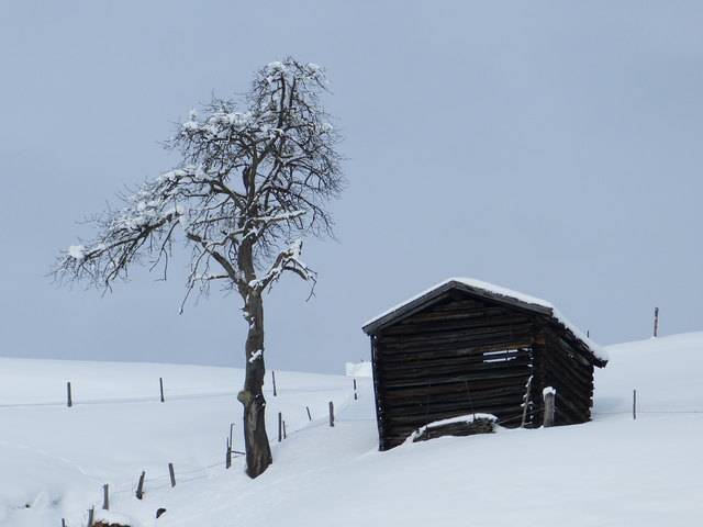 Passthurn/Mittersill