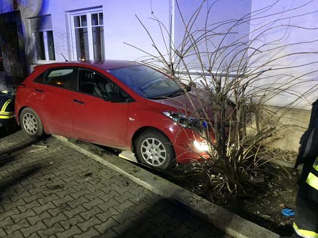 Das Fahrzeug blieb im Vorgarten stehen.