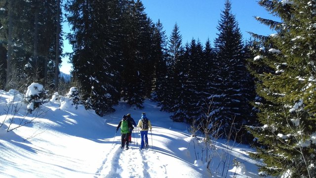 Die Schneeschuhtour führt durch Wald- und Wiesenpassagen und ist für Groß und Klein zu bewältigen. | Foto: Siedler
