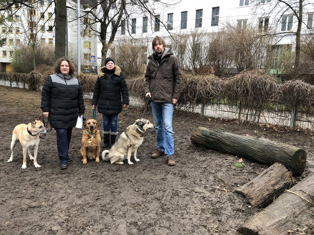 Besuchen mehrmals täglich die Hundezone im Schubertpark: Nicole Blumencron, Christa Ebert und Florian Plattner (v.l.).