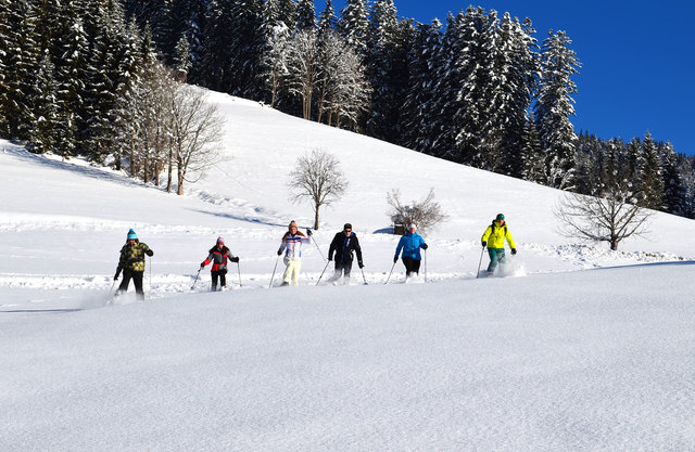 Erforschen Sie mit uns auf Schneeschuhen und mit der Rodel die verschneite Landschaft des Lammertals!