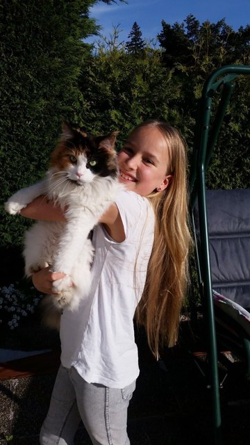 Die elfjährige Fiona hat bereits zwei Katzen nach Gewalteinwirkung verloren. | Foto: Privat