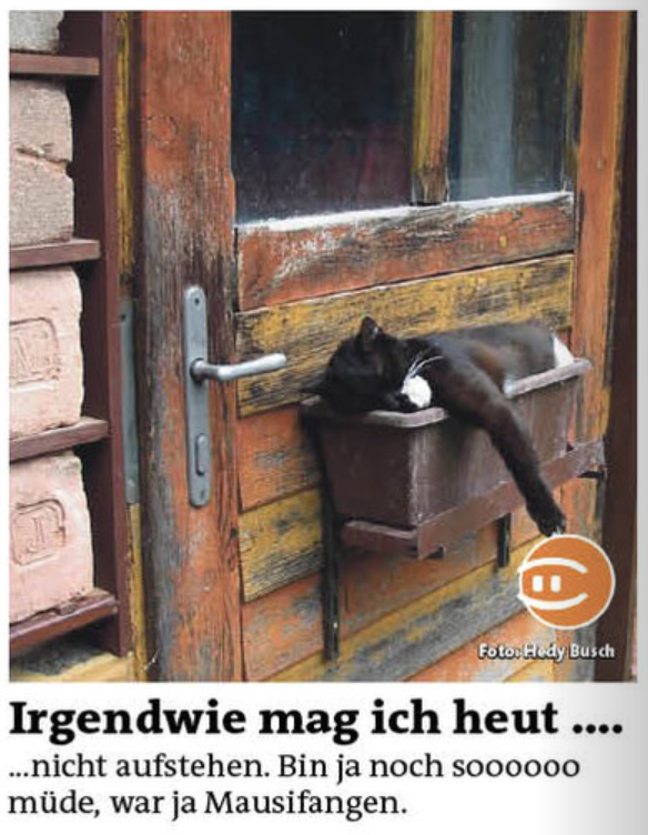 ... und ich freu mich schon wieder *ggggggg*