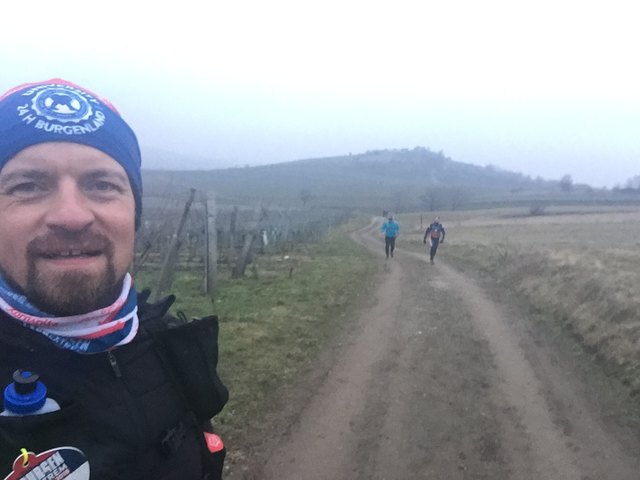 Hillingers Weingärten
