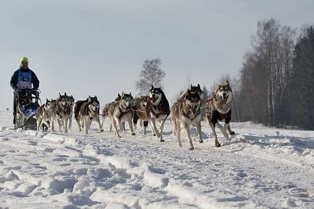 Über 200 km Gesamtlänge & 8.000 Höhenmeter bewältige Gerald Schinzel beim "Sedivackuv Long" in knapp mehr als 16,5 Stunden - Sieg!