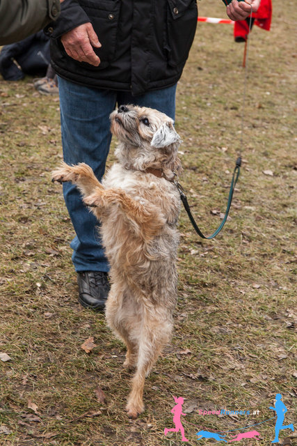 Auch Spaß muss sein © SpeedRunners.at