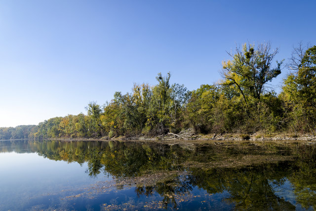 Die Untere Lobau ist ein traumhaftes Ausflugsziel für alle, die sich in ihrer Freizeit gerne in der Natur aufhalten. | Foto: Herbert Kronsteiner