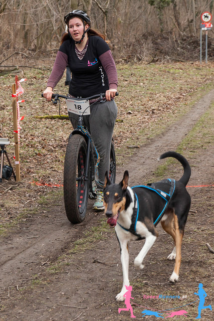 Scooterjoering © SpeedRunners.at