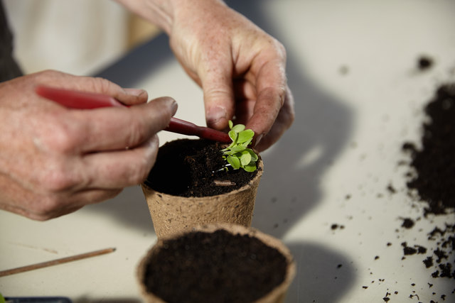 Copyright Verein ARCHE NOAH, Schiltern