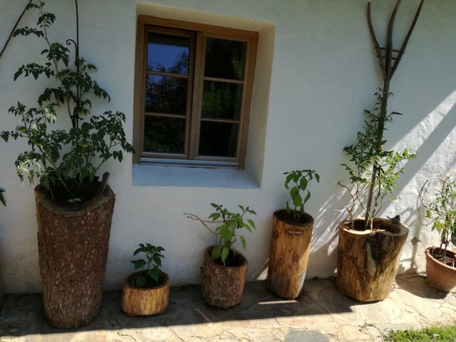 Foto: Christina Wildhaber