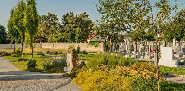Naturoase Friedhof "OASE DER RUHE OASE DER NATUR" St. Pölten