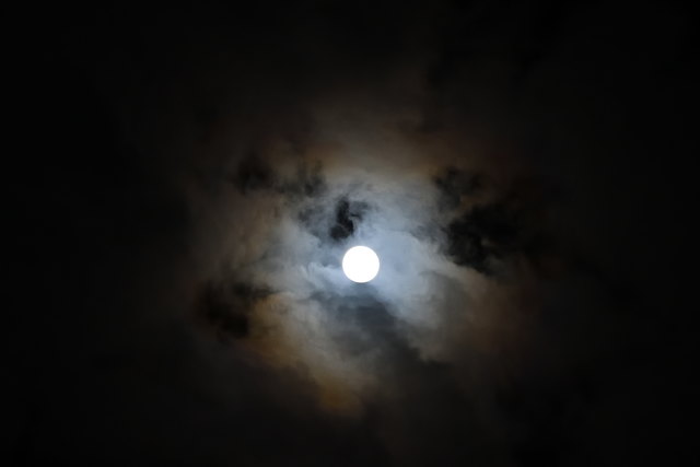 zum 2. Vollmond im Jahr - keltisches Frühlingsfest Imbolc