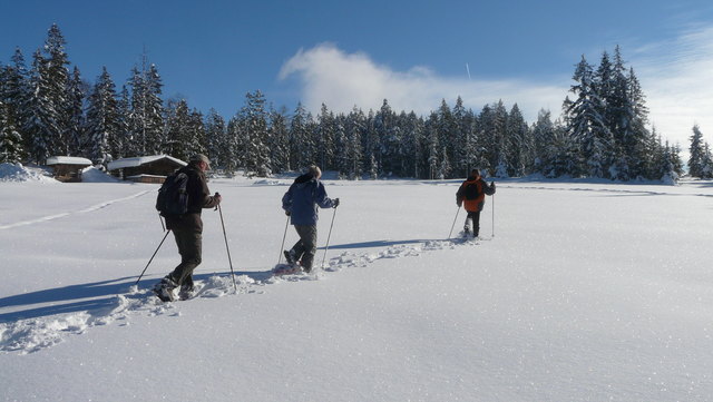 Schneeschuhwandern Wildschönau - Foto TVB Wildschönau
