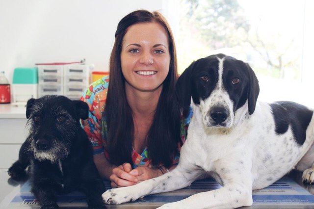 Yvonne Bauer stylt Ihre Hunde und Katzen. | Foto: Bauer