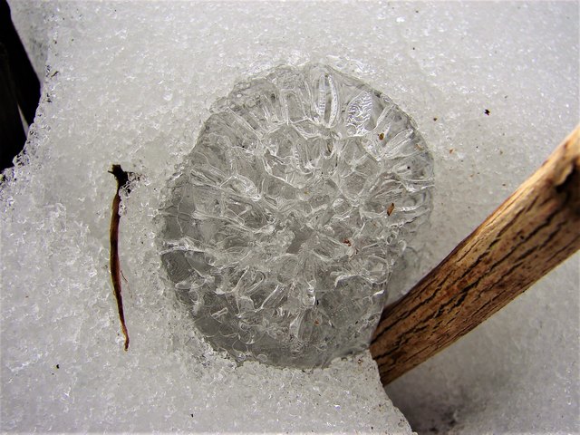 Ein ungewöhnliches Eisstück in der Schneedecke