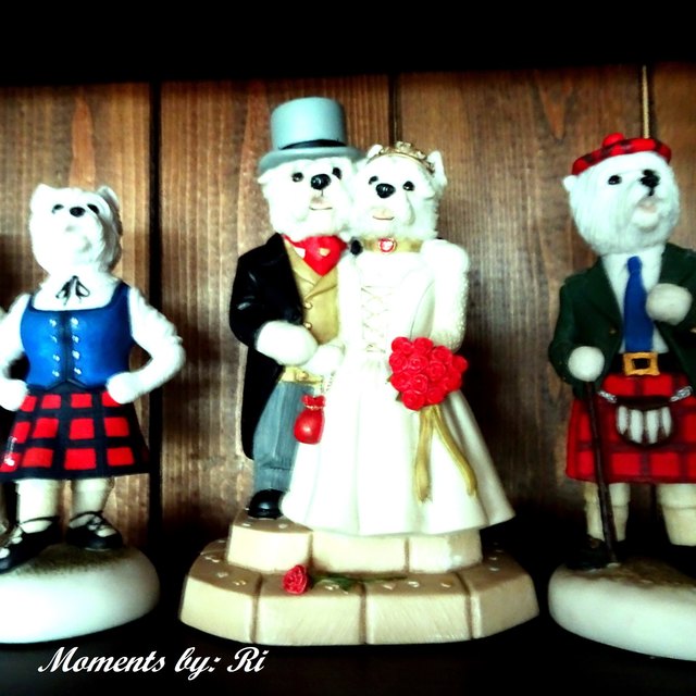 The Wedding