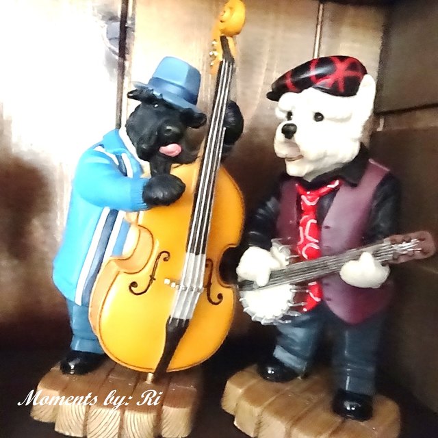The Musicans Scottie on Bass und Westie on Banjo