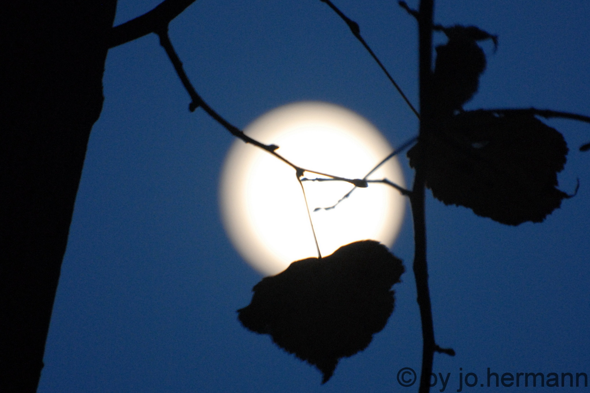 unser Mond - Spittal