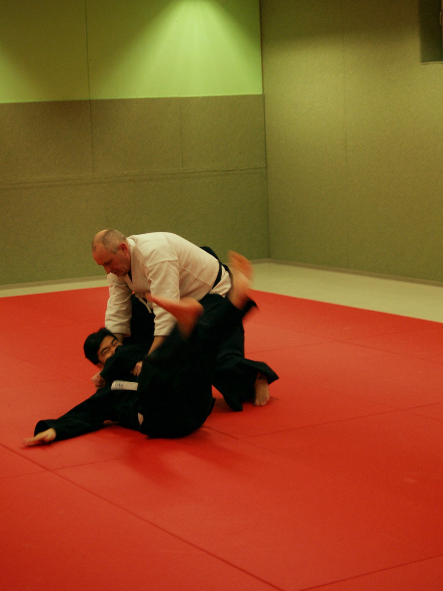 Aikido und Jiu Jitsu Ried