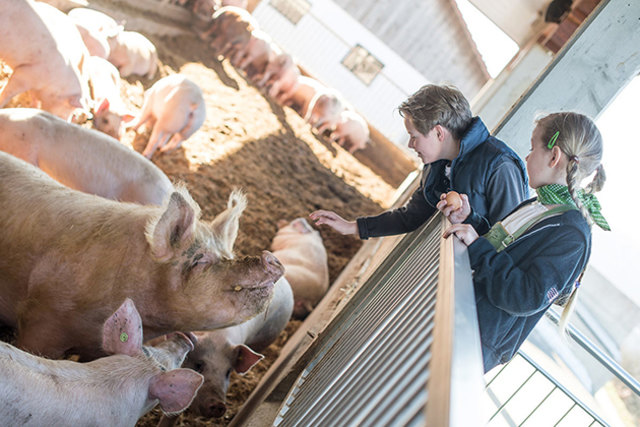 Für die Kinder gibt es Gratisführungen. | Foto: Vulcano