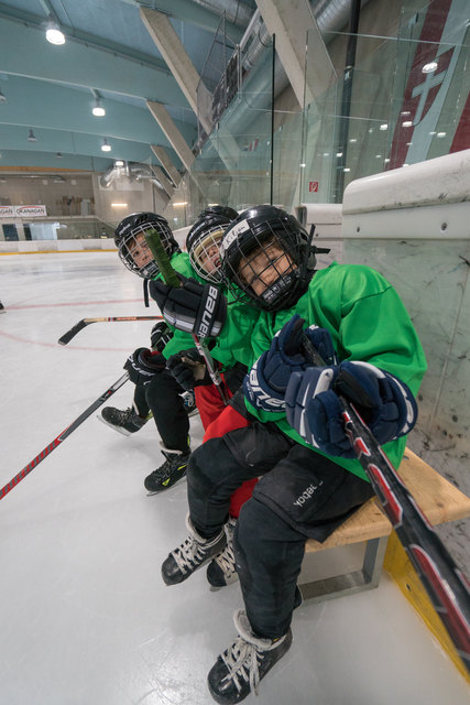 40 Kinder spielen derzeit im Verein. | Foto: STP Tigers