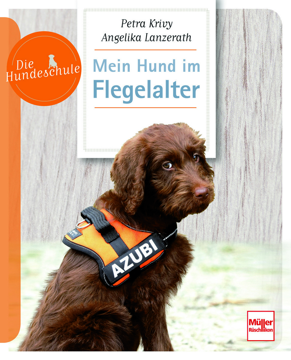 Buch Tipp Angelika Lanzerath Petra Krivy Die Hundeschule