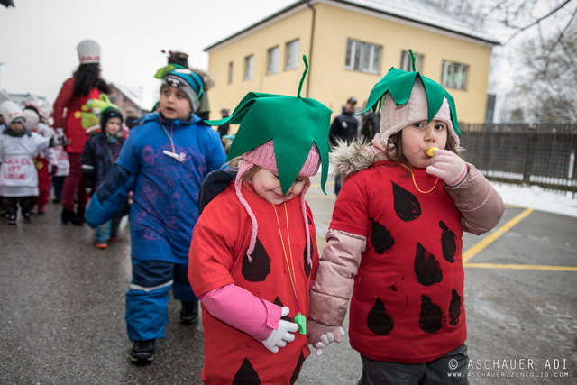 Faschingsumzug des Kindergarten Neualm - Tennengau