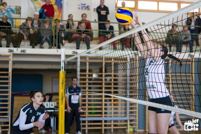 Anna Werkovits und die Kelemen Volleys verloren das letzte Spiel im Grunddurchgang. | Foto: JDF-Events