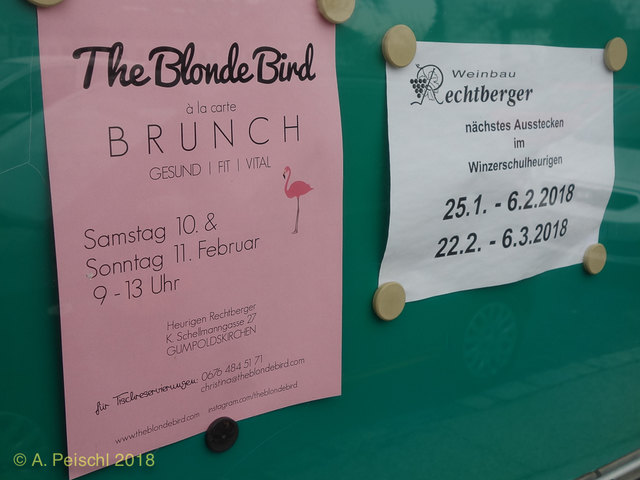 Lasberg studenten singlebrse. Frauen aus treffen hollabrunn singles frauen in gumpoldskirchen. Sie sucht ihn fr sex in leutkirch. Flirten kostenlos kstendorf. Hollabrunn singles frauen: Sex treffe in Krefeld