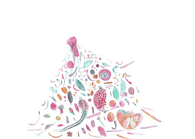 Werk von Gabriela Oberkofler