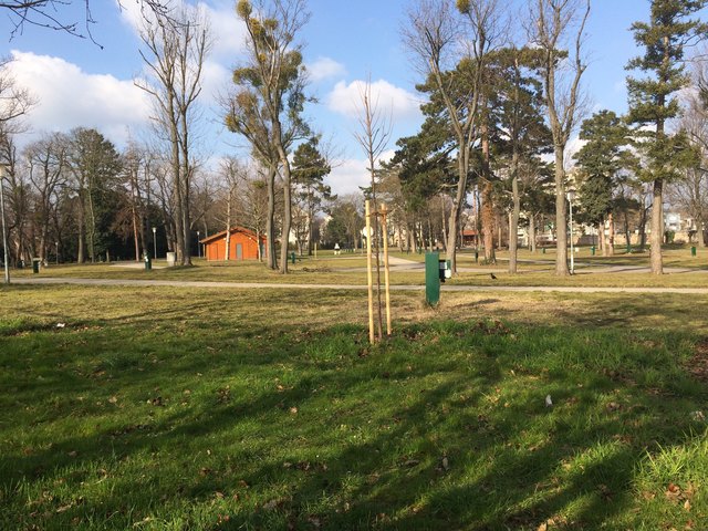 Auf dem alten Campingplatz könnte bald ein neuer Park entstehen