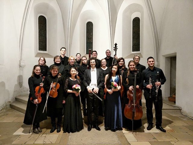 Orchester der schönen Künste Wien