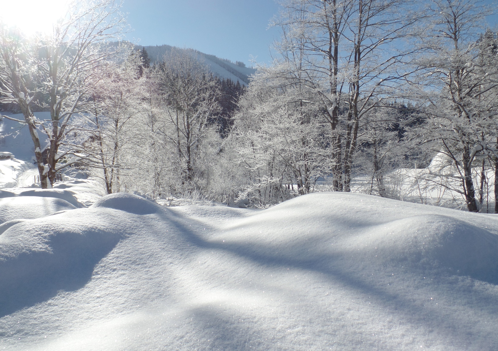 Weiß Wie Schnee Weiß Wie Schnee