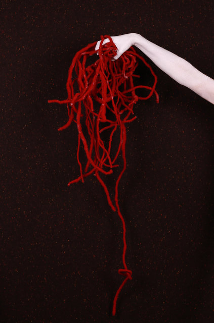 Medusa | Foto: Paloma Tendero