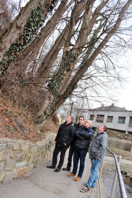 Dominic Hörlezeder, Andreas Kloimwieder, Dieter Stadlbauer, Herbert Schmid. | Foto: Stadtgemeinde Amstetten