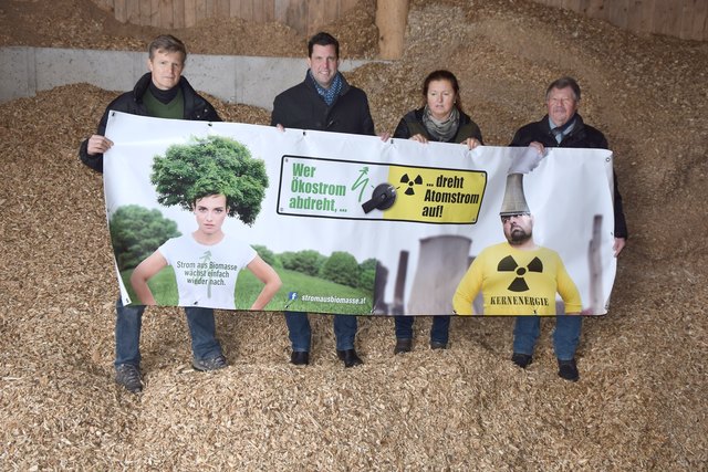Solidarische Ökostromerzeuger mit einem gemeinsamen Appell an die Regierung (v. l.): der Bauer Gemeinderat Franz Aigner, Bürgermeister Stefan Krapf, Ortsbäuerin und Gemeinderätin Auguste Thallinger sowie Umweltausschuss-Obmann Peter Trieb auf einem Hackschnitzelberg im Ortsteil „In der Klamm“. | Foto: Stadtgemeinde Gmunden