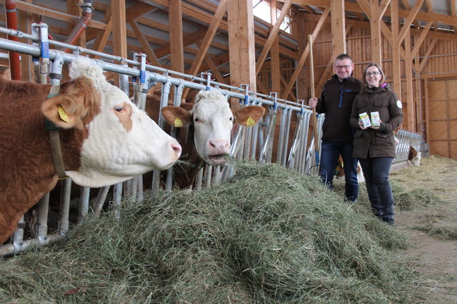 Stefan und Erika Bindl in ihrem Stall in Baureith in Aigen-Schlägl. Sie produzieren 120.000 Liter Bio-Heumilch jährlich.