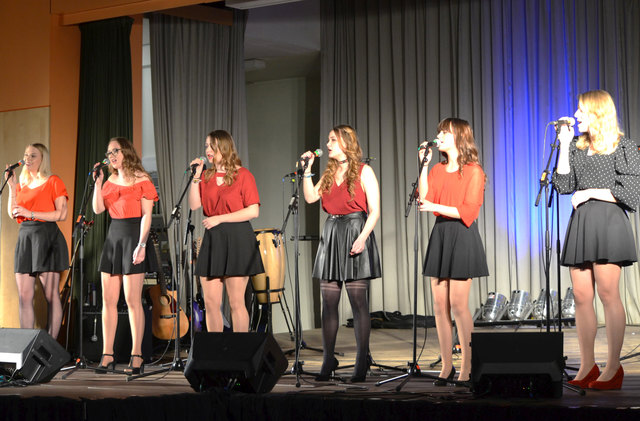 Mit viel Temperament sorgten die verschiedenen Formationen für ein gewohnt lebendiges Benefizkonzert. | Foto: Borg Bad Radkersburg