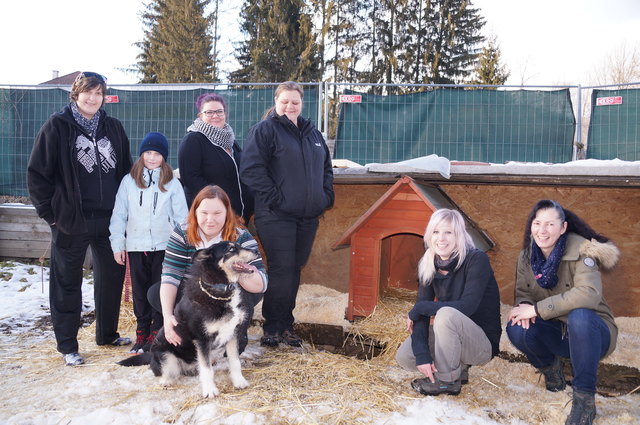 Ihre Freizeit gehört den Hunden von "Stibi's Hundeparadies": Handler, Magritzer, Trattner, Hofbauer, Bajzek, Ammerer und Hödl mit Azur.