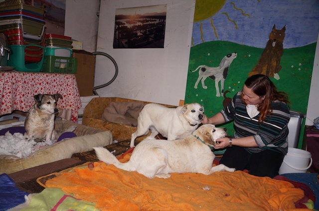 Schmusestunde: Mirjam Trattner mit den "Golden Girls". Wichtig ist, mit den Hunden viel Zeit zu verbringen, um Vertrauen aufzubauen.
