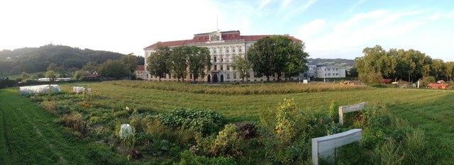 Im Petrinumgarten ist die Gartenplanung in vollem Gange. Tatkräftige Unterstützung ist nach wie vor gern gesehen. | Foto: Petrinumgarten