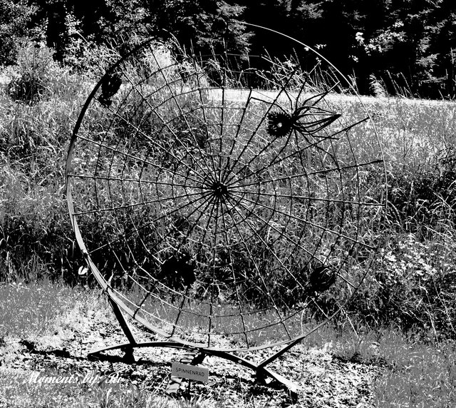Aus dem Skulpturenpark KUNST ZWiNGT ROST