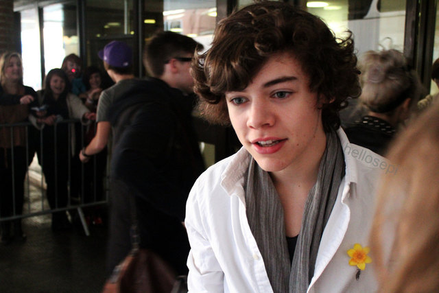 Oben ohne ist Harry Styles nicht zwangsläufig auch sexy | Foto: Harry_hellosepi_flickr_CC BY 2.0.jpg