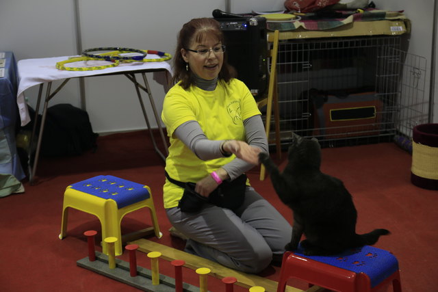 die klügste Katze Deutschlands auf der Haustiermesse 2018
