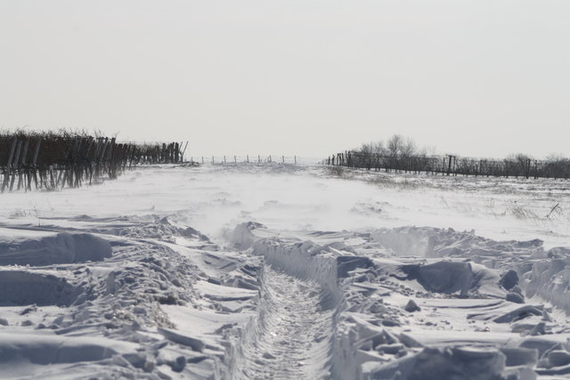 eine Schneeverwehung geben...