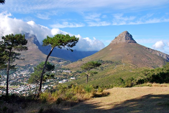 Blick zum Signal Hill | Foto: Birgit Winkler