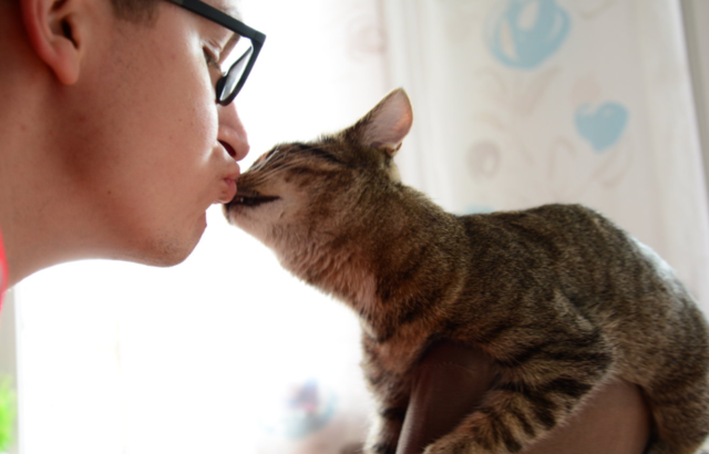 Gewinnspiel: Katzenfotos schicken und tolle Preise gewinnen.