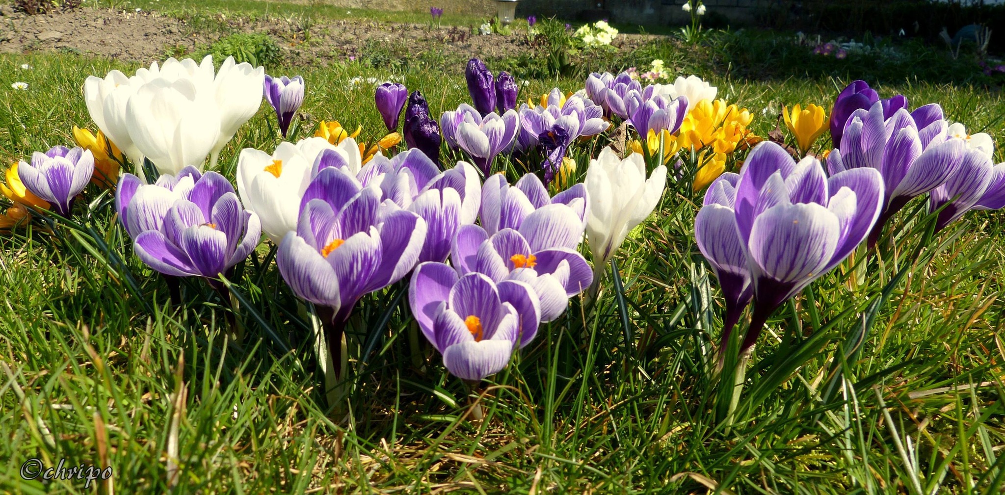 Facebook-Titelbild gesucht: Zeit für Frühling!, حجم الصورة 2048x1009