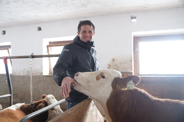 Peter Kaserbacher in seinem Stall in Bischofshofen.