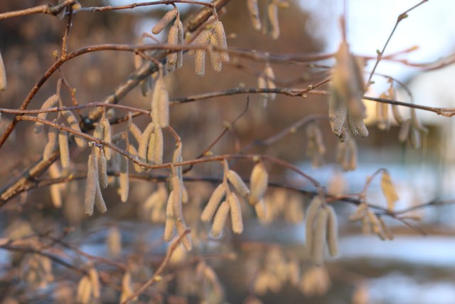 Foto: Elisabeth Grassler